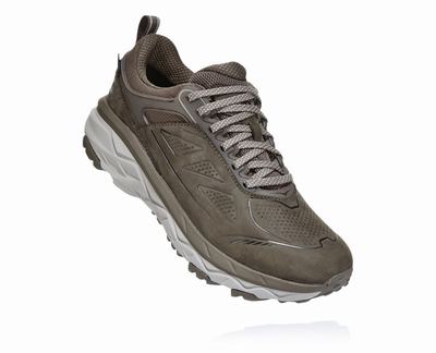 Hoka One One Challenger Low GORE-TEX - Sapatos Largos Mulher - Marrom, UE93421